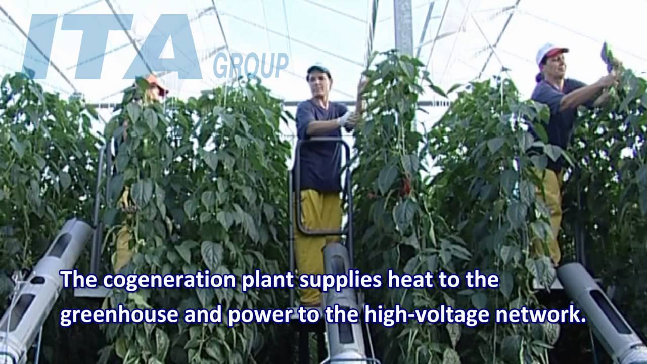 ITA Group - Drama Greenhouses S.A.