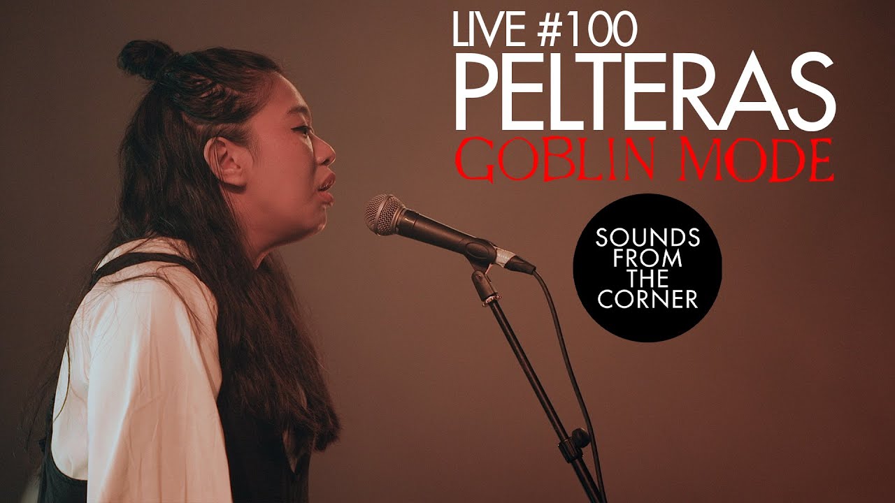 Sounds From The Corner : Live #100 Pelteras - GOBLIN MODE