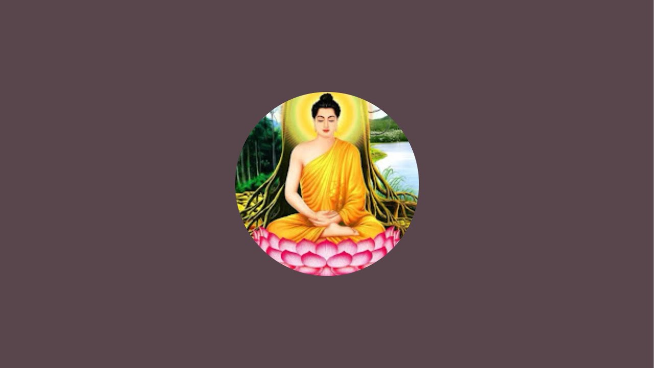 Cuộc sống Mỹ channel 64  is live!
