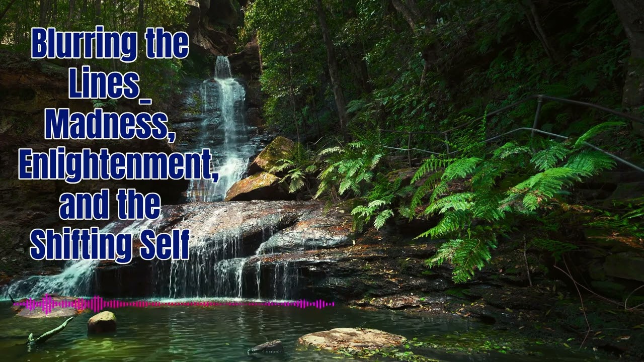 Blurring the Lines  Madness, Enlightenment, and the Shifting Self