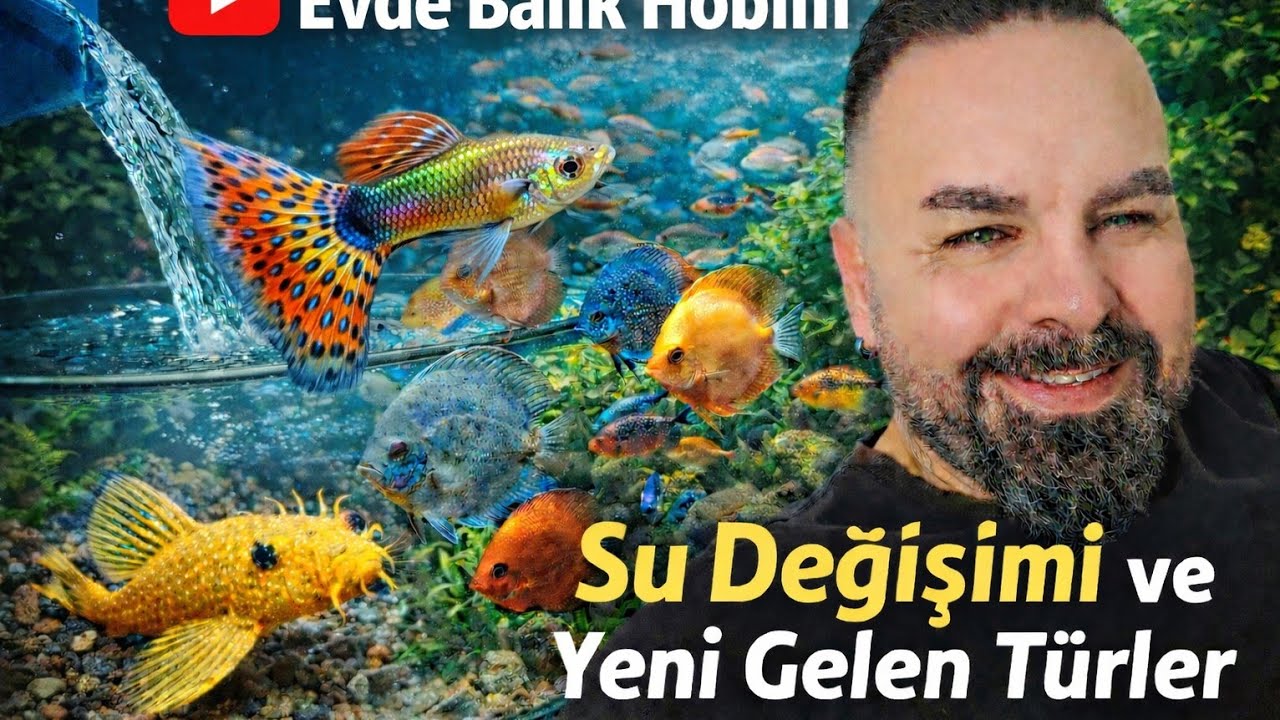 Yeni Gelen Türler ve DİP CEKİMİ !!! 2025 YIL SONU VİDEOMUZ .