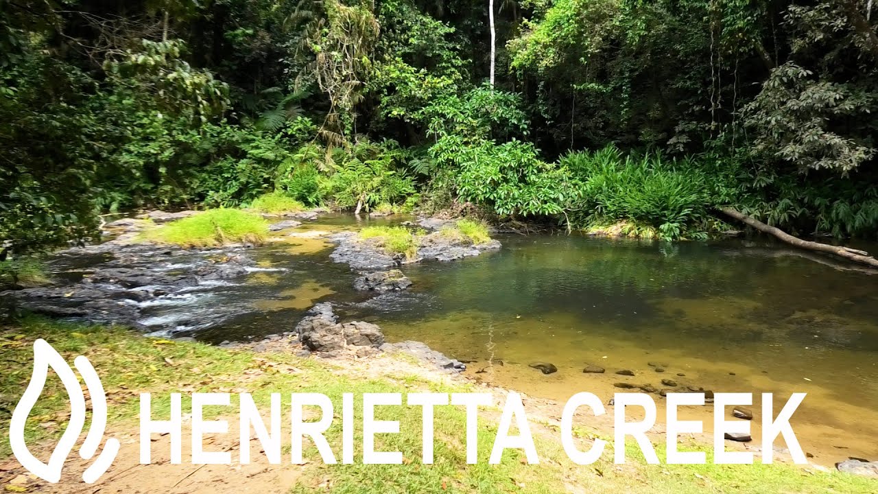 Henrietta Creek Camping Area - Wooroonooran National Park, Queensland