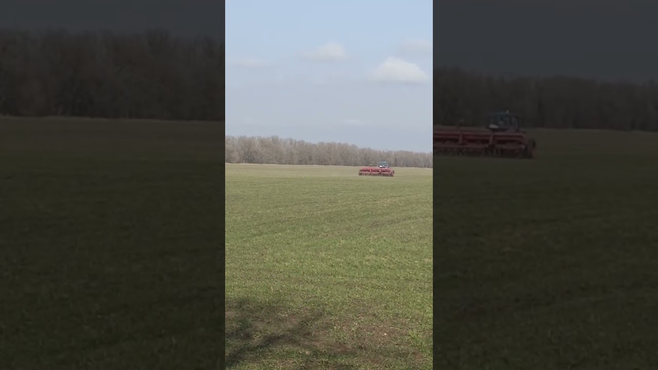 МТЗ 80 с сеилками сзт 5.4. #сельскоехозяйство #agriculture #поле