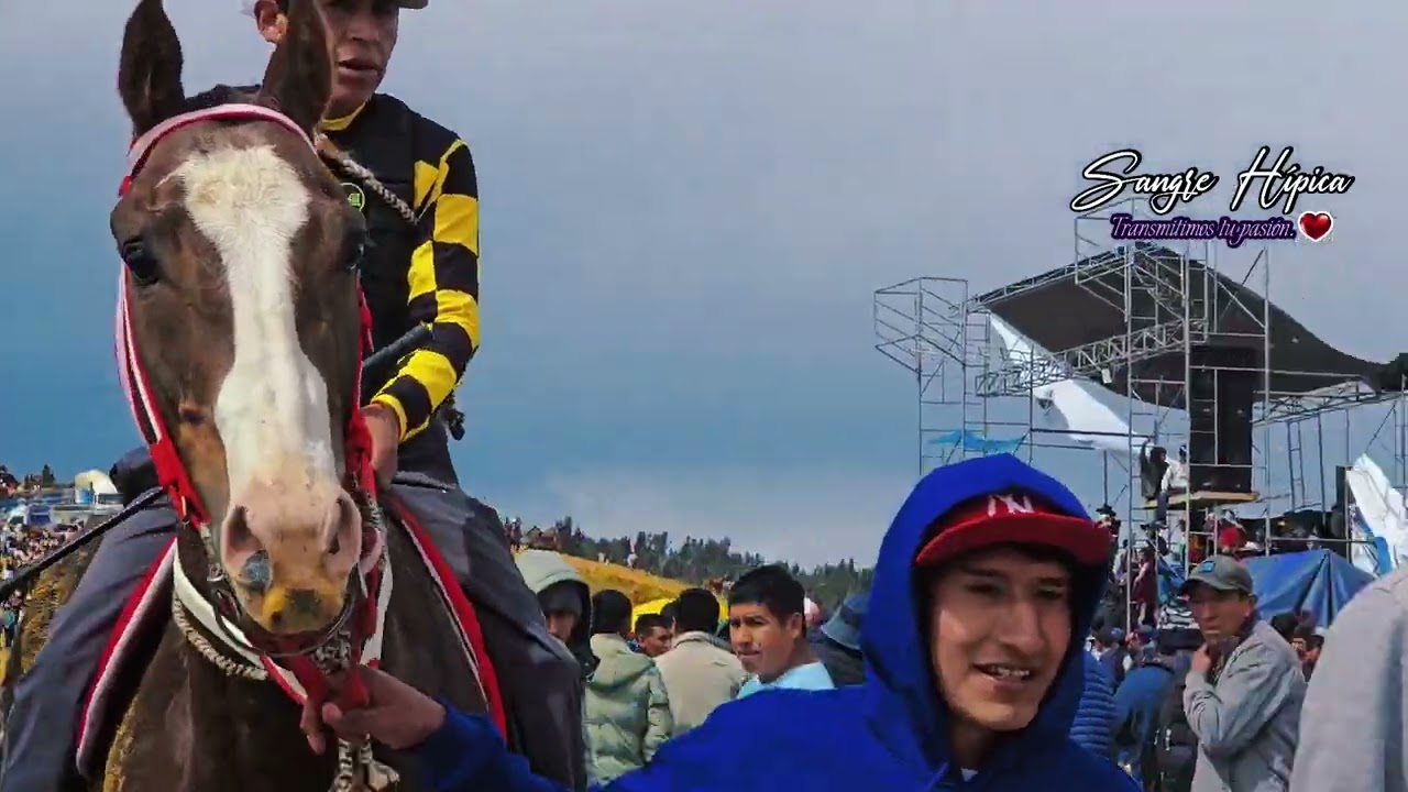 carrera de caballos Pomavilca, categoria PURA SANGRE.