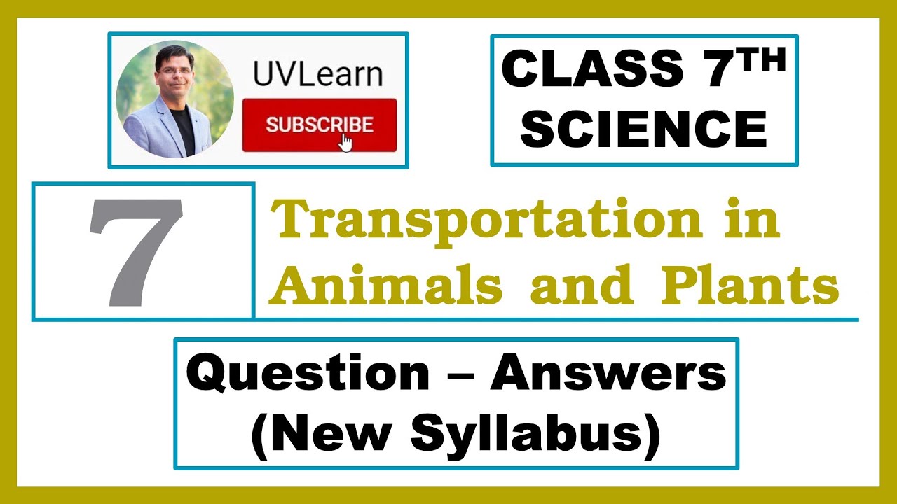 Class 7 Science Chapter 7:Transportation in Animals and Plants | Short & Easy | Question-Answers