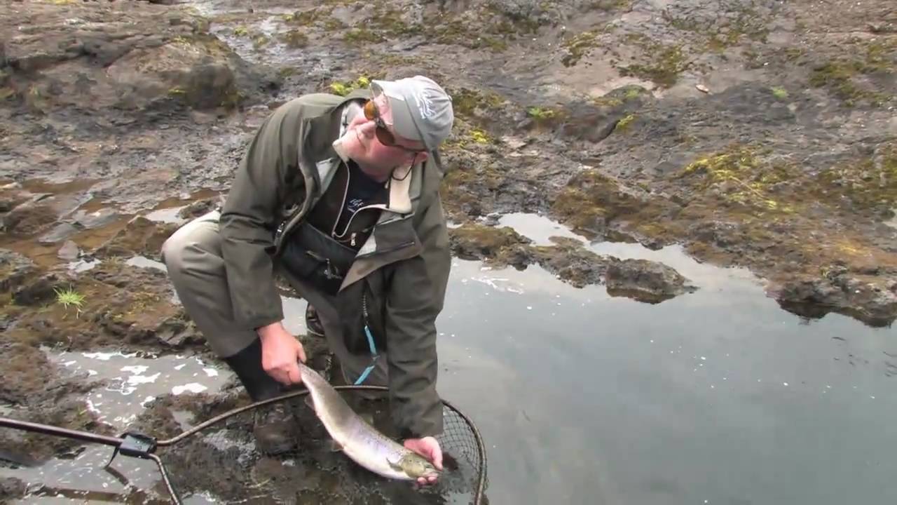 Flyfishing in Laxa Kjos in Iceland