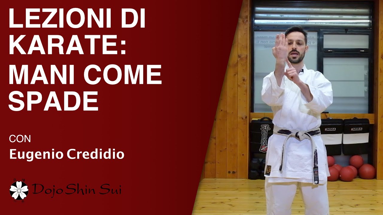 Lezioni di Karate: mani come spade