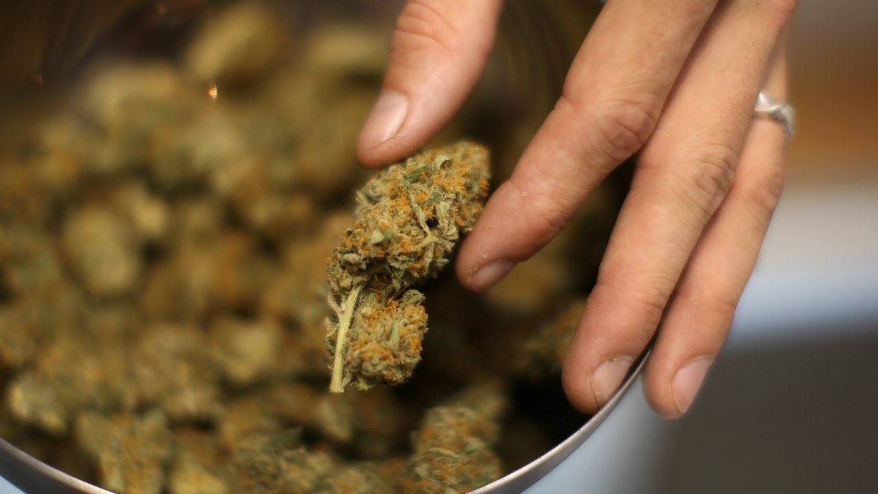 Here's how much money weed might make in taxes