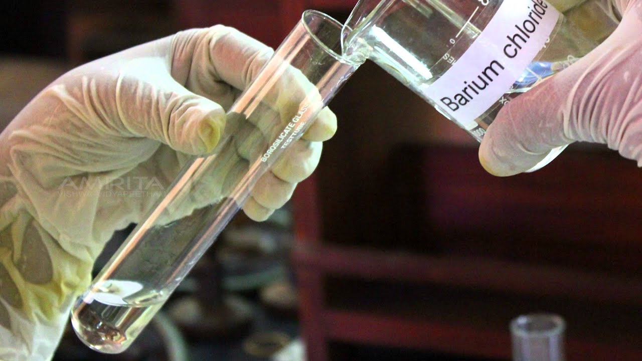 Reaction Between Sodium Sulphate and Barium Chloride Solution - MeitY OLabs
