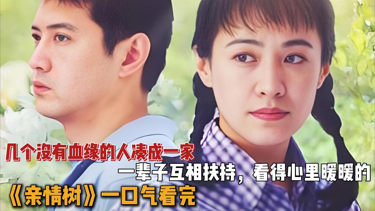 几个没有血缘的人凑成一家，一辈子互相扶持，看得心里暖暖的！一口气看完《亲情树》全集