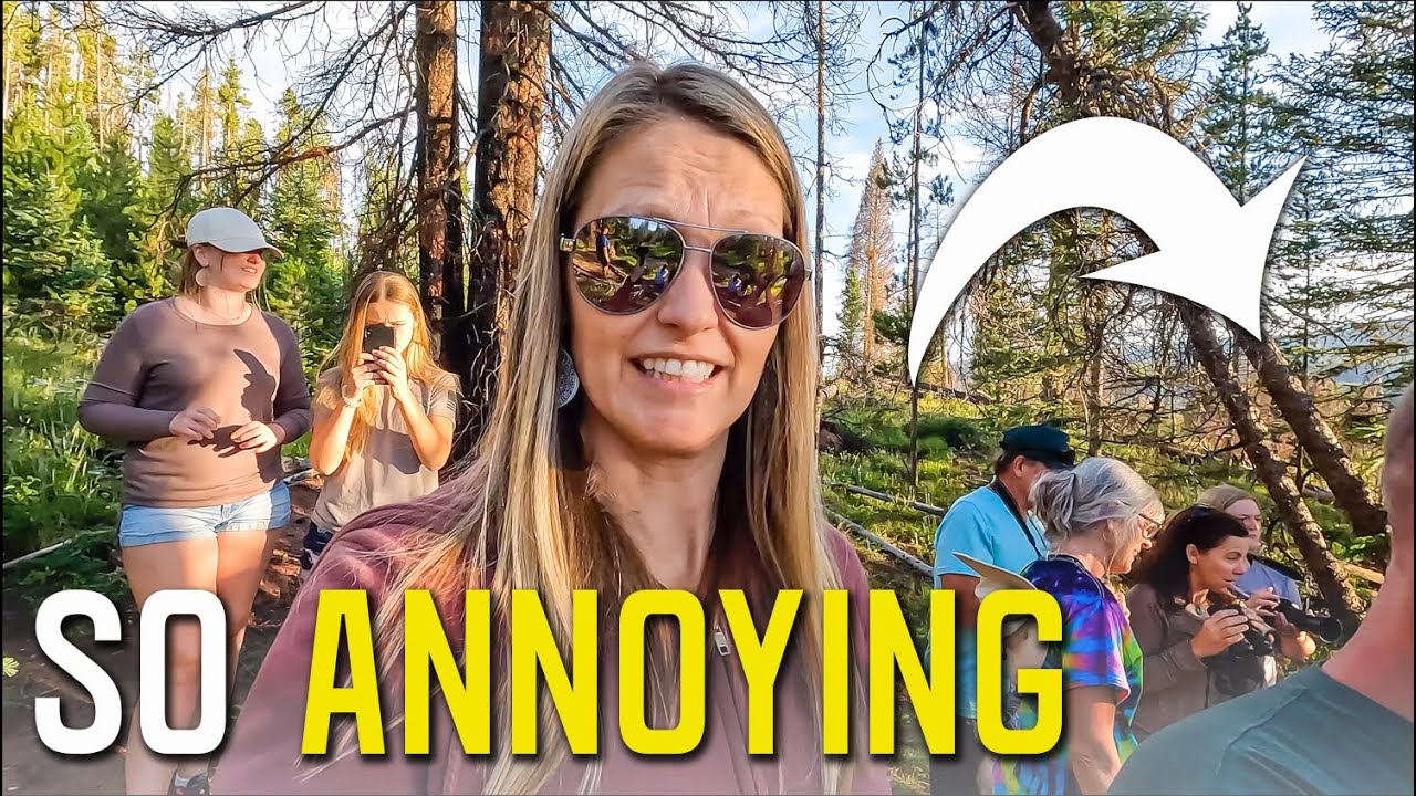 TRYING TO BEAT THE WEATHER | ROCKY MOUNTAIN NATIONAL PARK IN 12 HOURS | RVING COLORADO S7 || Ep 139