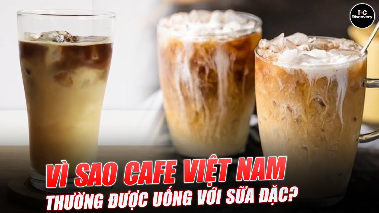 VÌ SAO CAFE VIỆT THƯỜNG ĐƯỢC UỐNG VỚI SỮA ĐẶC THAY VÌ SỮA TƯƠI? T Connect - Discovery