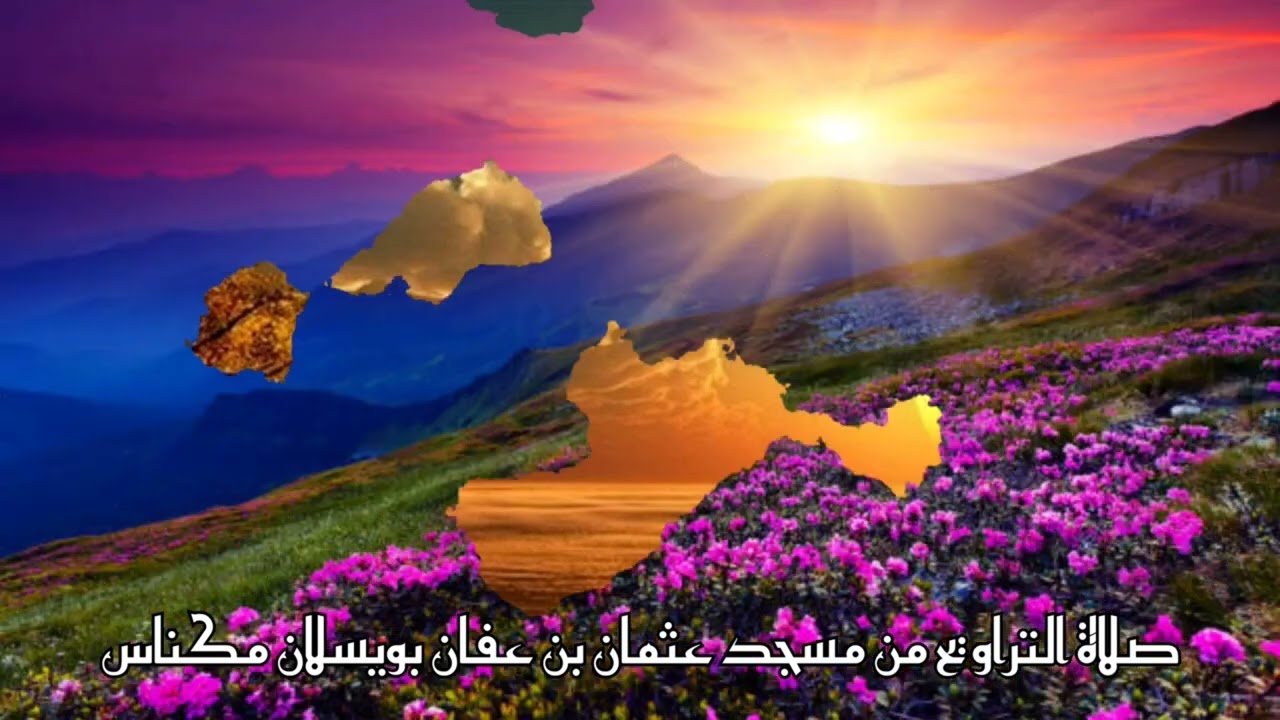تلاوة خاشعة مؤثرة للقرأن الكريم من سورة