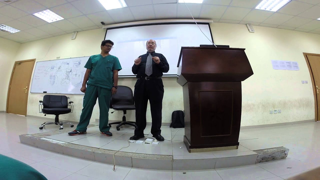 important regions of lower limb Taif UNI Dr.Wahdan 2