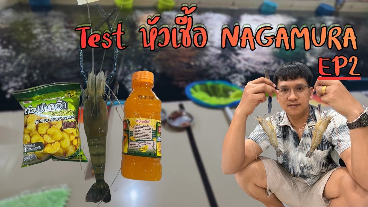 Ep.32 ตกกุ้งวันที่ 3 ติดต่อกัน (ไม่ค่อยจะติดใจสายหนวดเลย) #ตกกุ้ง #ตกกุ้งบ่อปูน #กัปตันบ่อตกกุ้ง 