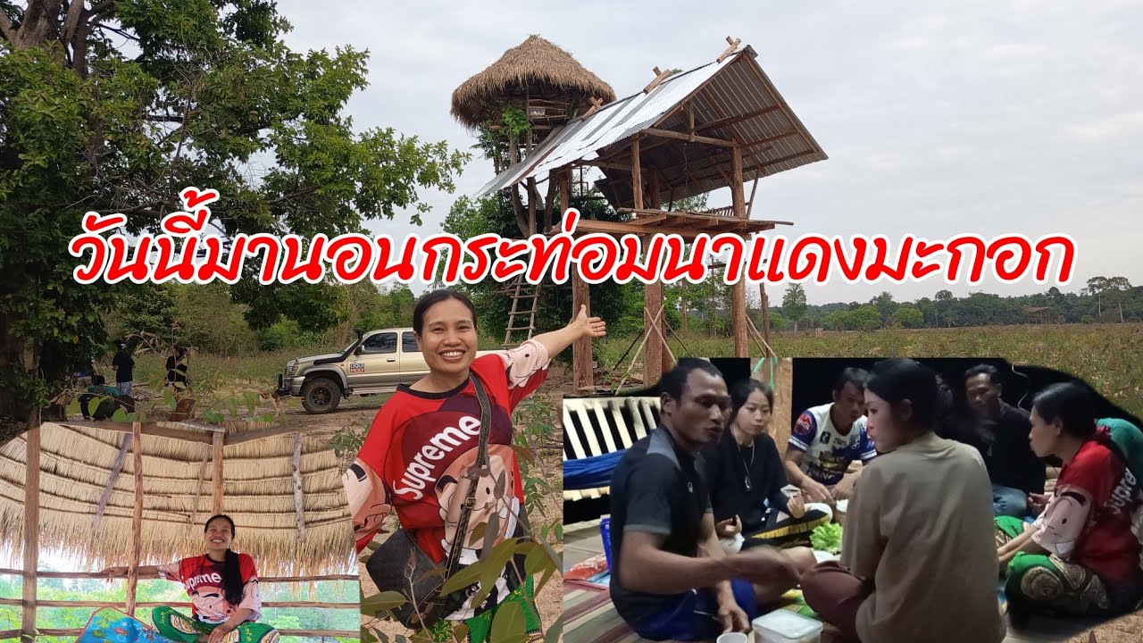 มานอนห้างต้นข่อย นาหนองมะกอกกับครอบครัว คนเดินป่า 14/03/69