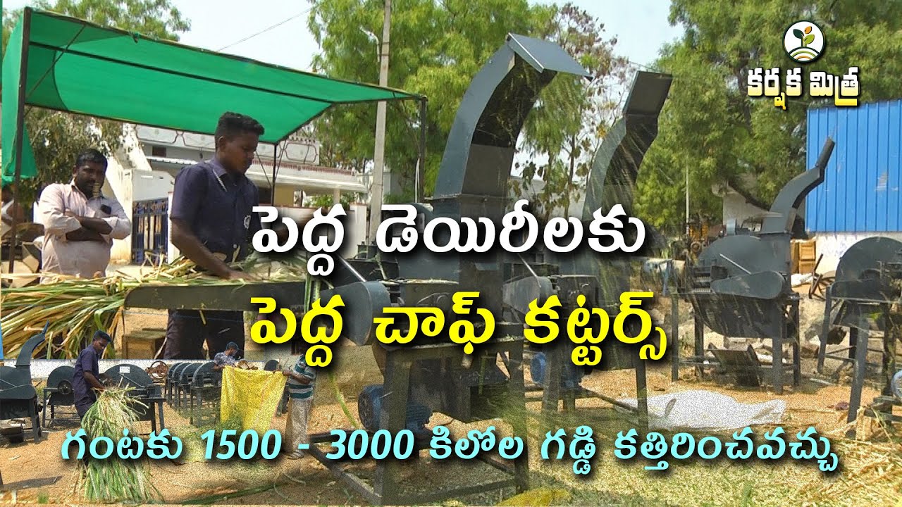 Best Chaff Cutters for Dairy farm ||పచ్చిగడ్డిని కత్తిరించే ఆధునిక చాఫింగ్ యంత్రాలు|| Karshaka Mitra