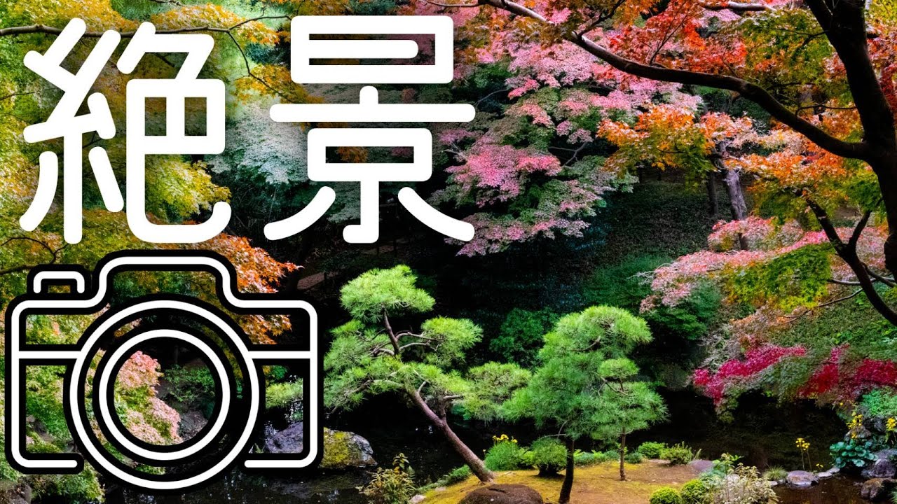 【紅葉お写んぽ】東京穴場絶景スポットで写真撮影！撮り方のコツも！