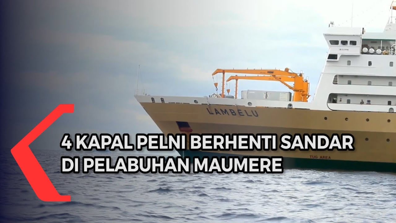 4 Kapal Pelni berhenti Sandar Di Pelabuhan Maumere