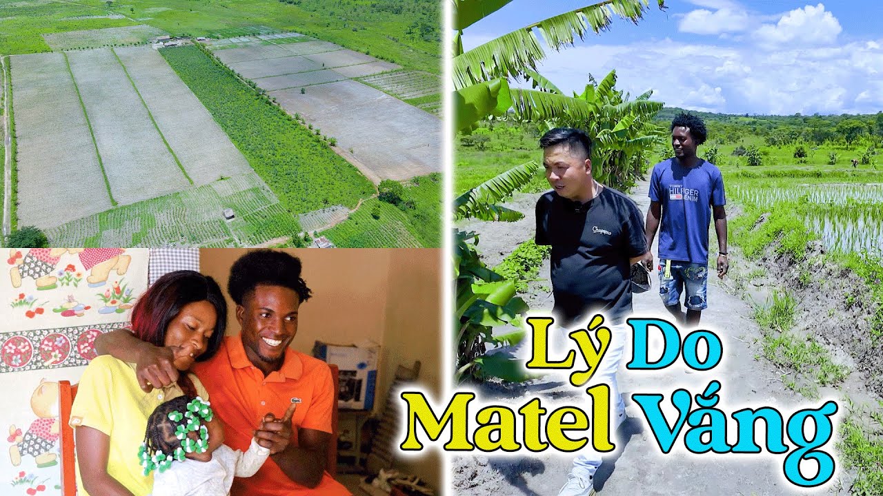 Đ&ocirc;ng Paulo || L&yacute; Do Em Matel Thời Gian Qua V&agrave; Sắp Tới Sẽ C&oacute; Thể Vắng Mặt Một Thời Gian!