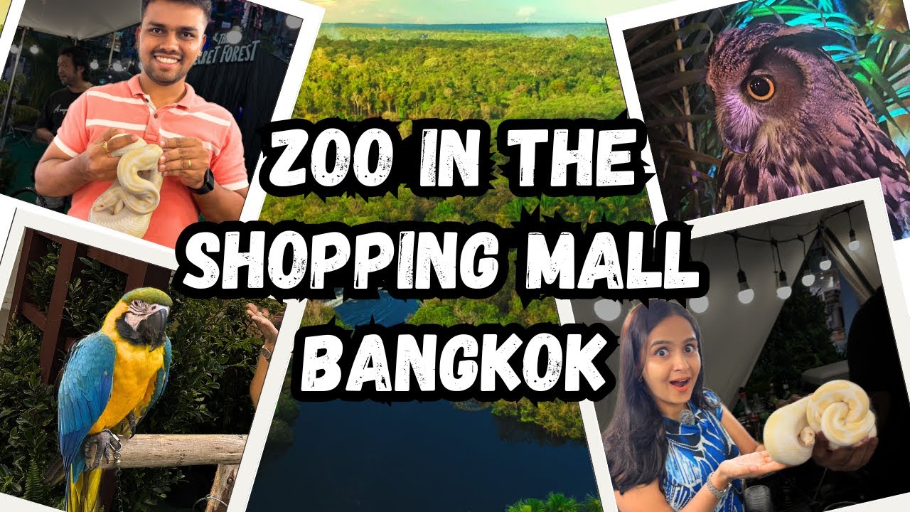 Scary Experience, ZOO In The Shopping Mall, Bangkok , Thailand 🦜🦉🐍🦎