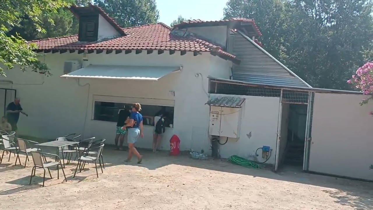 Platanitsi beach and camp, Platanitsi plaza i kamp, kraj juna 2025 @t-tours-cho5532