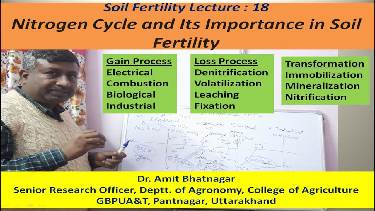 Nitrogen Cycle and its Importance in Soil Fertility