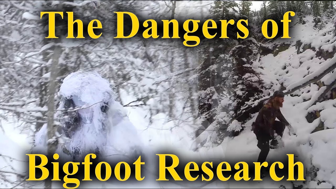 The Dangers of Bigfoot Research.  Back Country Sasquatch