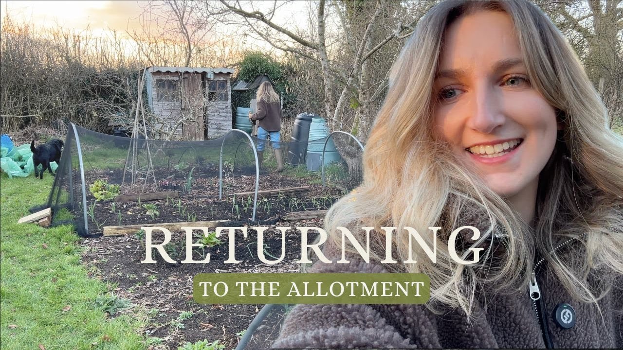 A PRODUCTIVE RETURN TO THE ALLOTMENT 🌱  Allotment Vlog UK