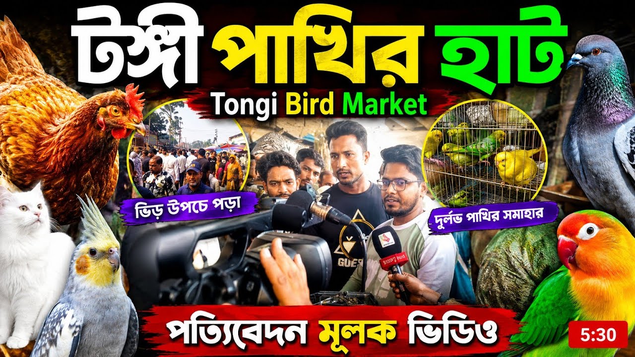 টঙ্গী পাখির হাট Tongi bird market, পতিবেদন মুলক ভিডিও| saadpakhirneer.