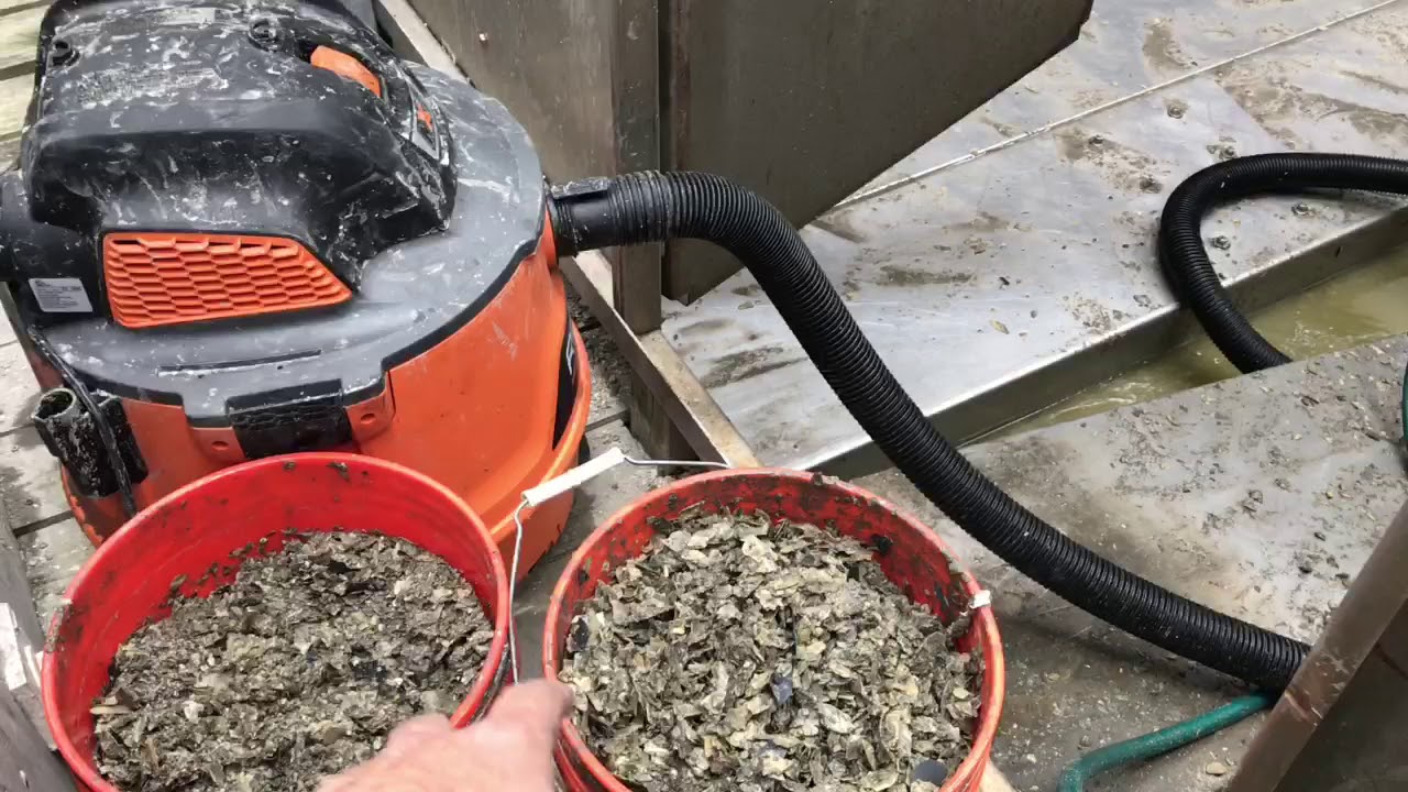 cooling tower cleaning short clips
