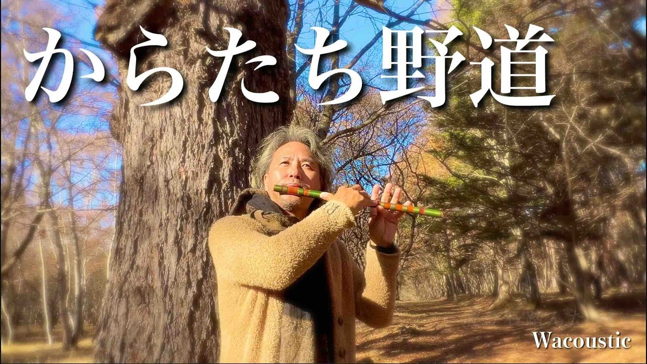 からたち野道 / THE BOOM【Japanese Flute】