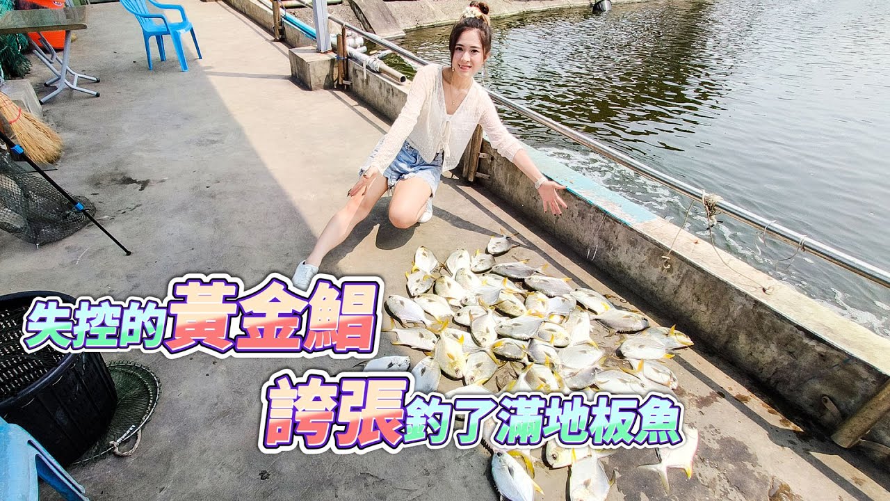 【台客去釣魚】秘密武器加蝦仁！黃金鯧一直雙弓釣到滿地板魚沒時間收魚進魚簍！ feat.369海釣場