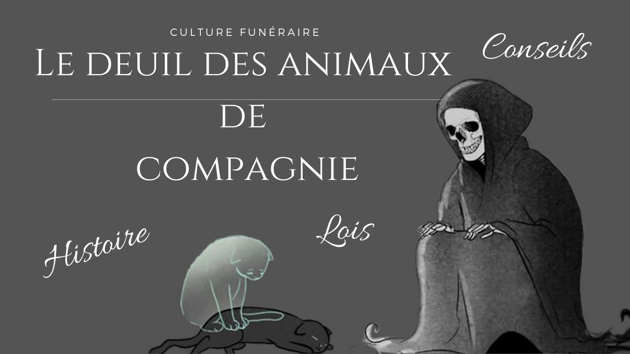 Arch&eacute;ologie et deuil des animaux