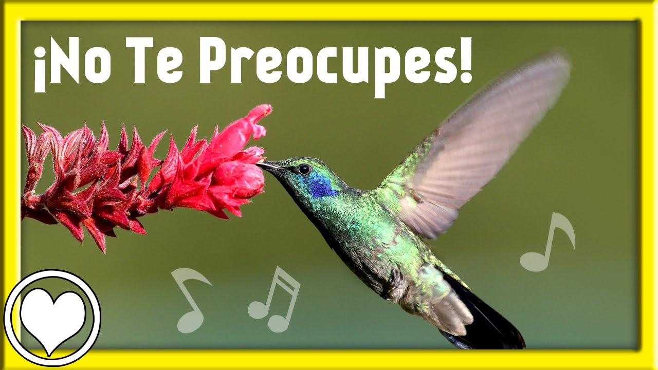♫ No Te Preocupes! Busca el Reino de Dios y Su Justicia!! Canci&oacute;n Cristiana Original!!