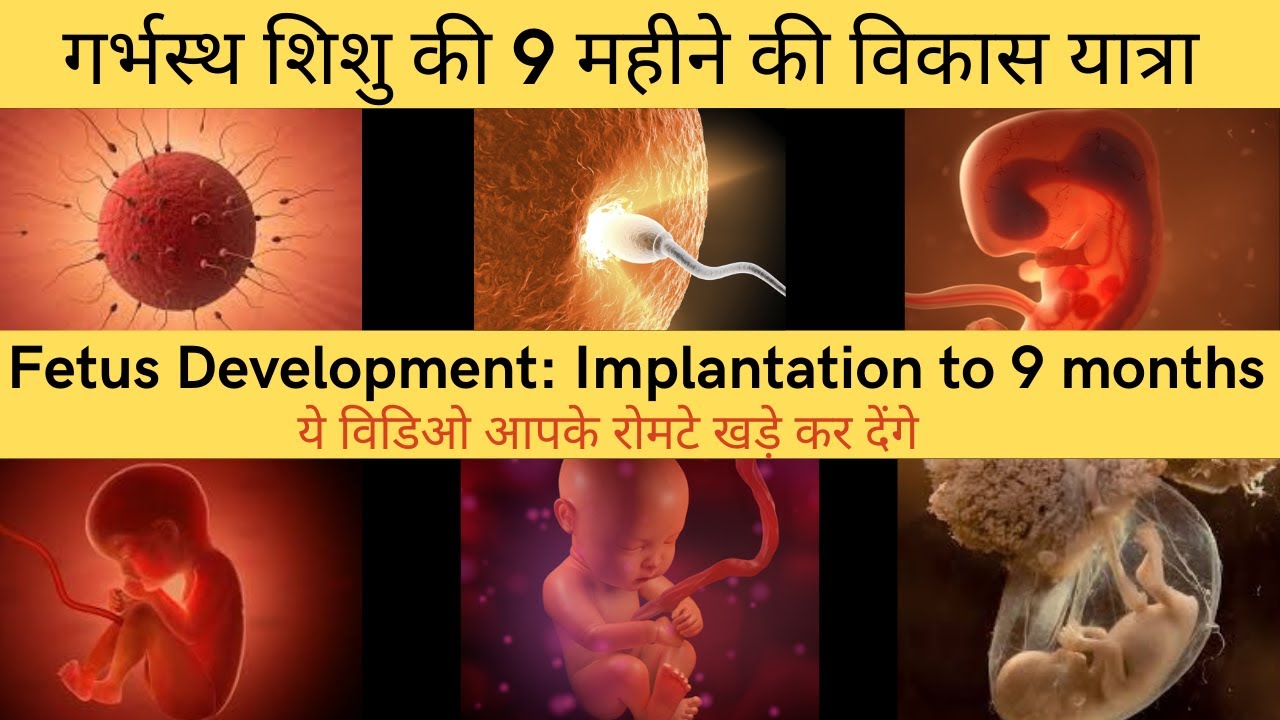 शिशु की संपूर्ण गर्भ यात्रा देखे 4 मिनिट में | fetus development in womb | 0 to 9 months development