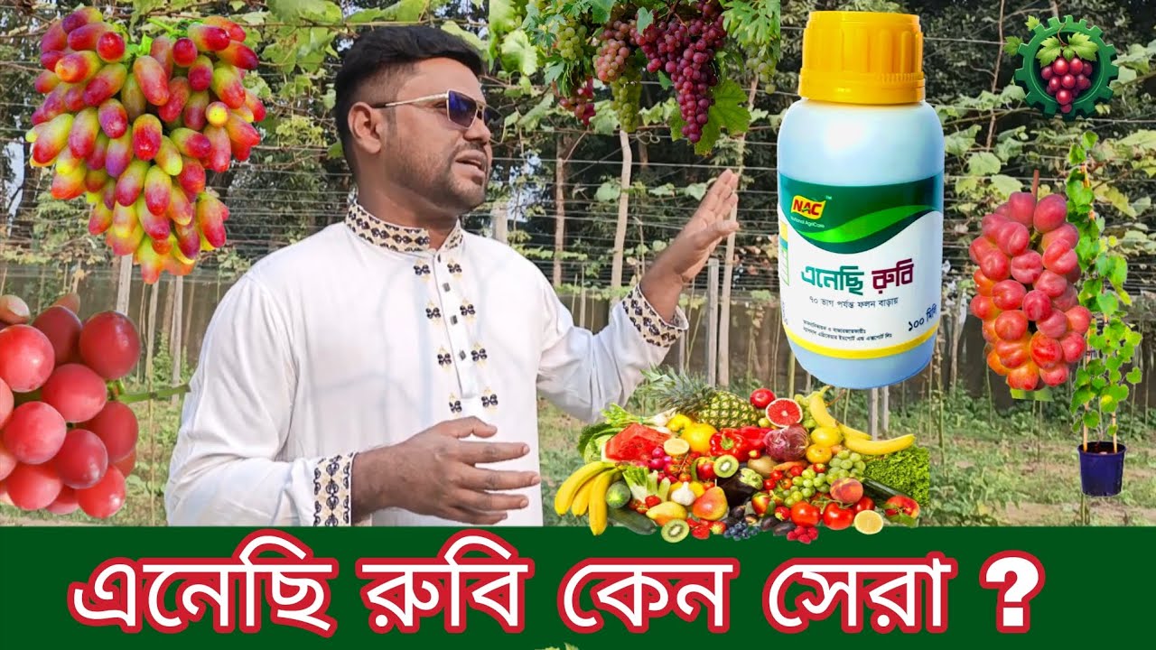 এনেছি রুবি কেন এত জনপ্রিয় ? 