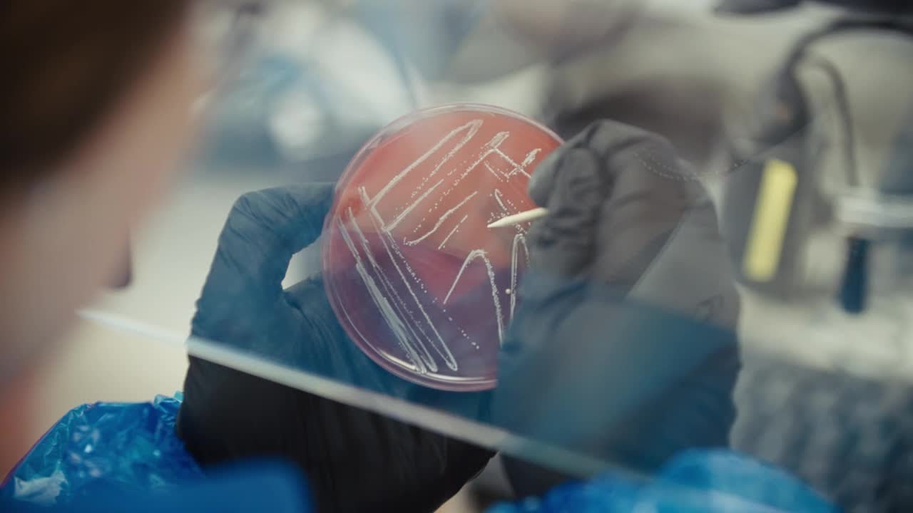 Accugenix&reg; Microbial Identification Services: Confidence in Every Identification