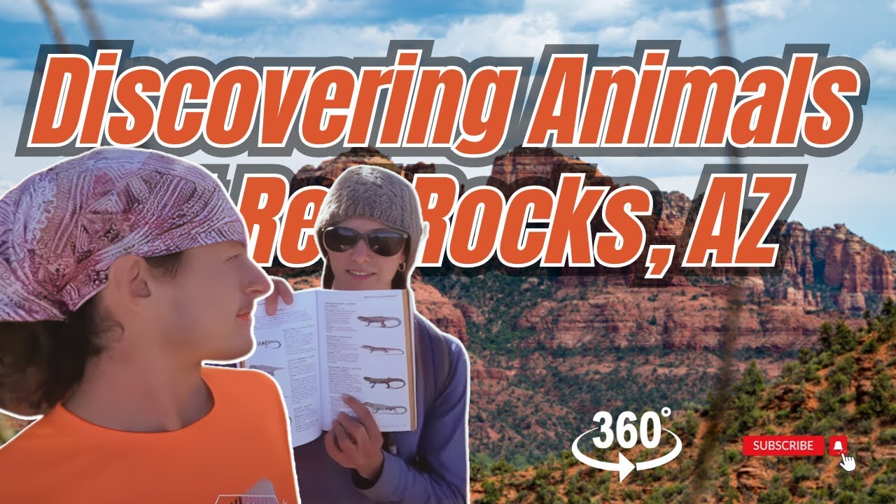 Exploring Red Rocks State Park - A 360° VR Adventure | Sedona, Arizona (Hike 360° VR Video)