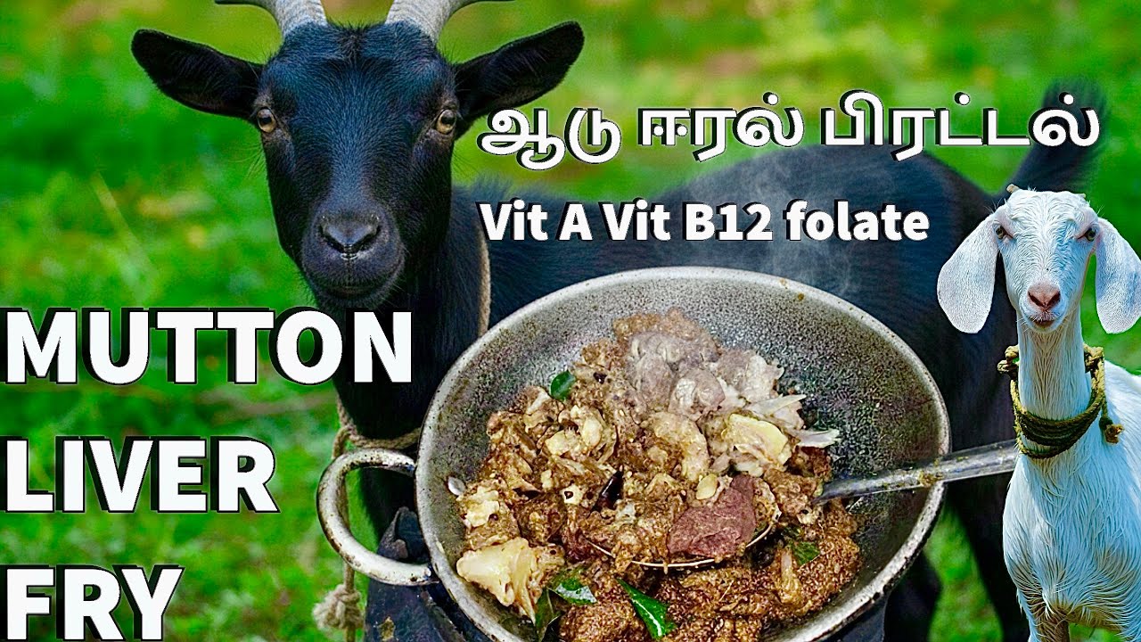 ஆடு ஈரல் பிரட்டல் Mutton liver fry recipe tamil meat cooking  