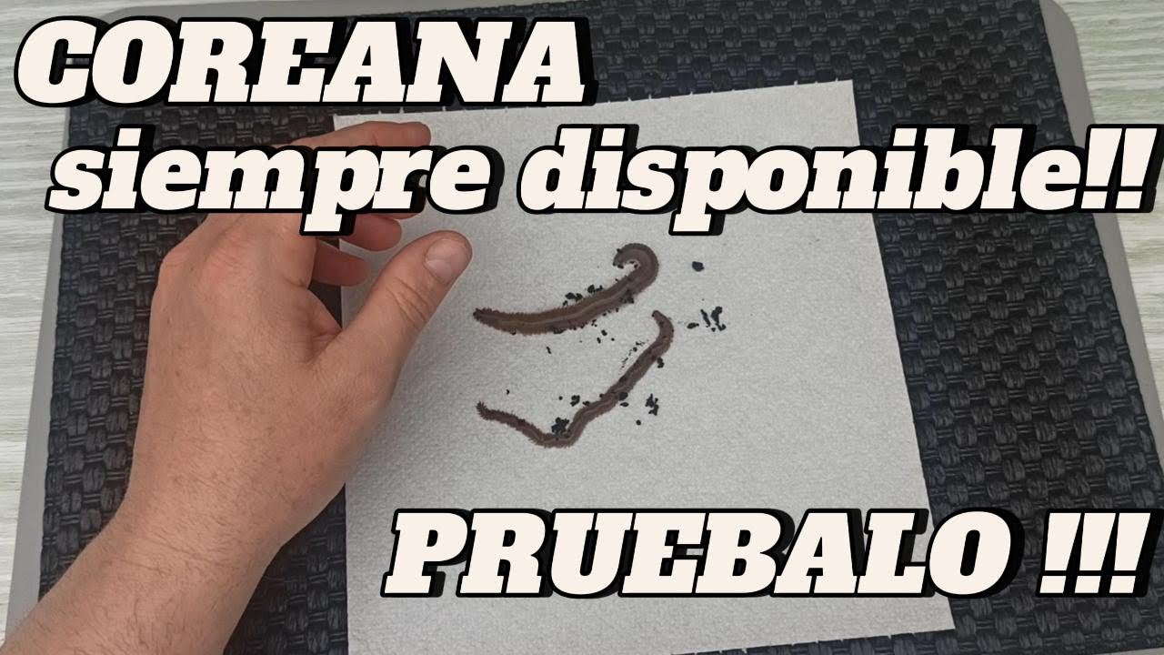 Método Para Tener Siempre Coreana Preparada para Pescar !!!!!!!