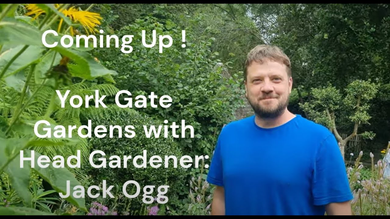 Exploring York Gate Garden: A Hidden Gem in Yorkshire