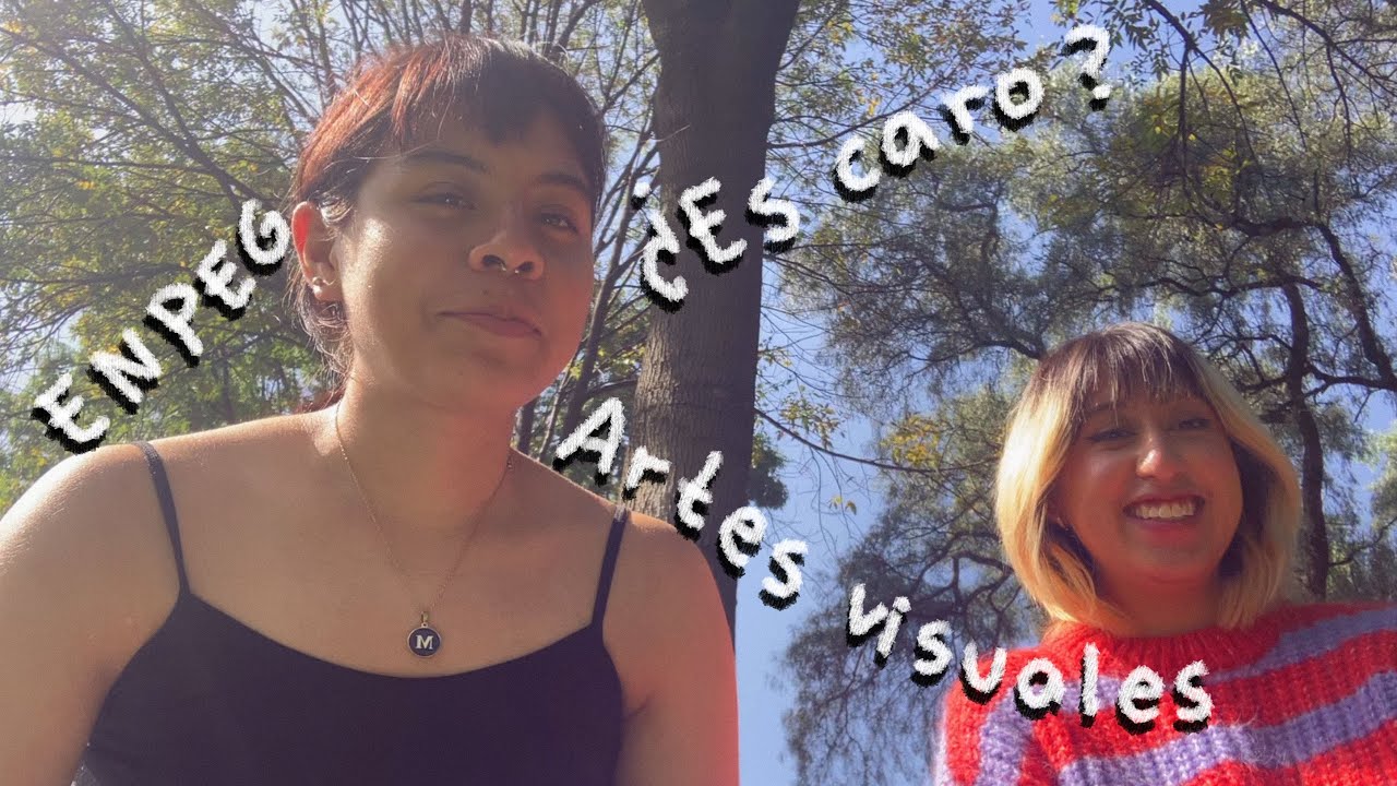 ¿Es caro estudiar Artes visuales en La Esmeralda?