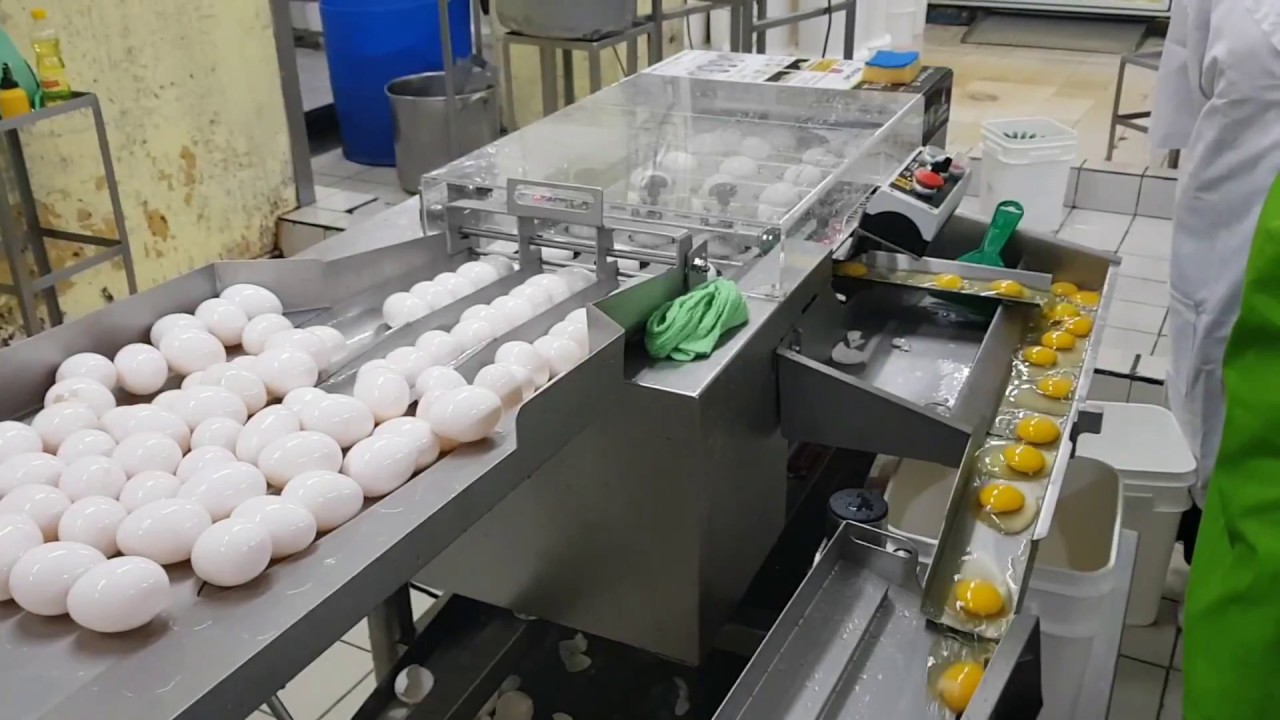 Egg breaker RZ-3, made in OVO-TECH. Show in Manila Philippines