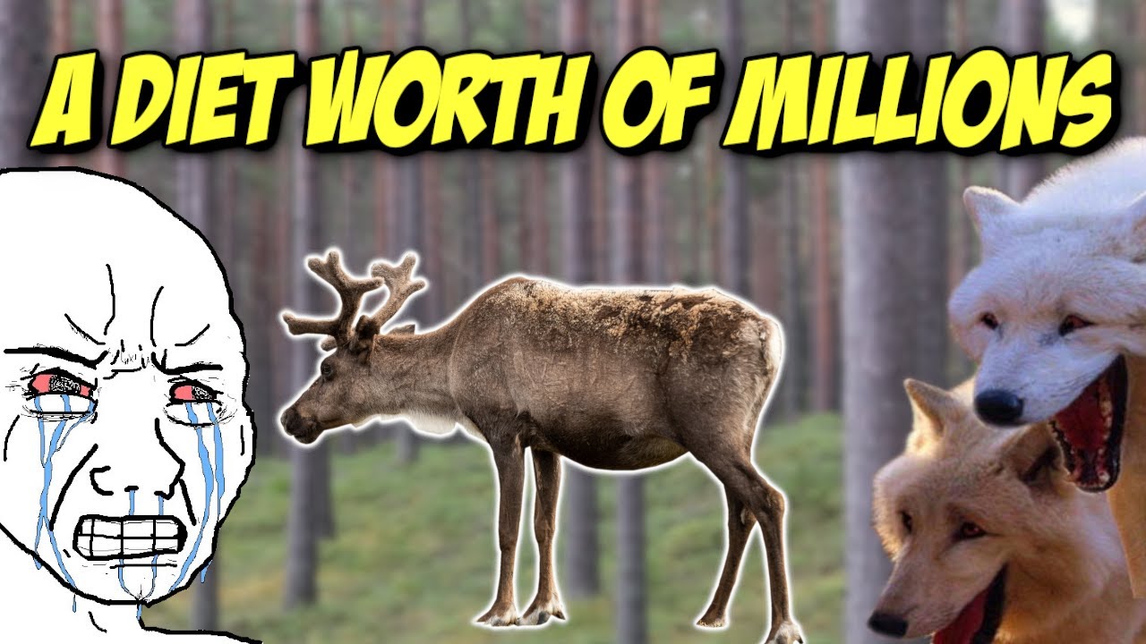 How carnivores are dining with Finnish taxpayers money