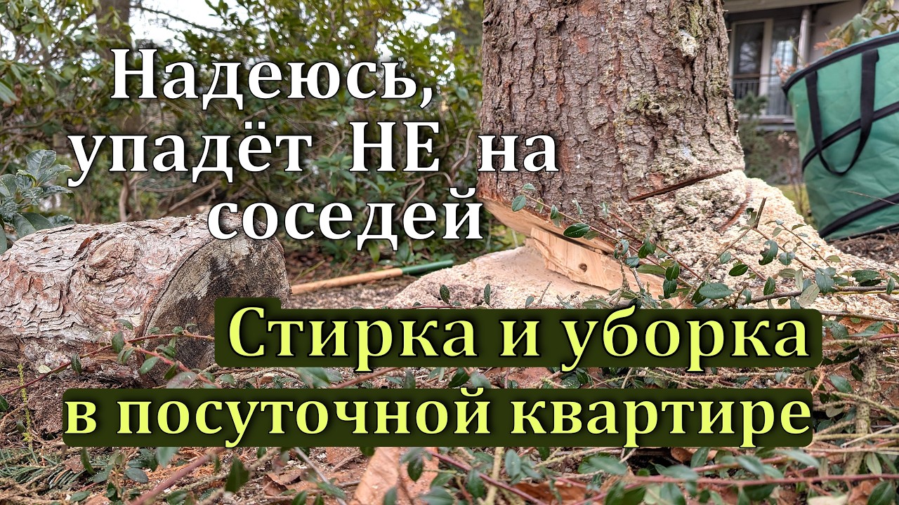Уборка в гостевой квартире. Жизнь в деревне. Пилим огромную ель в саду.