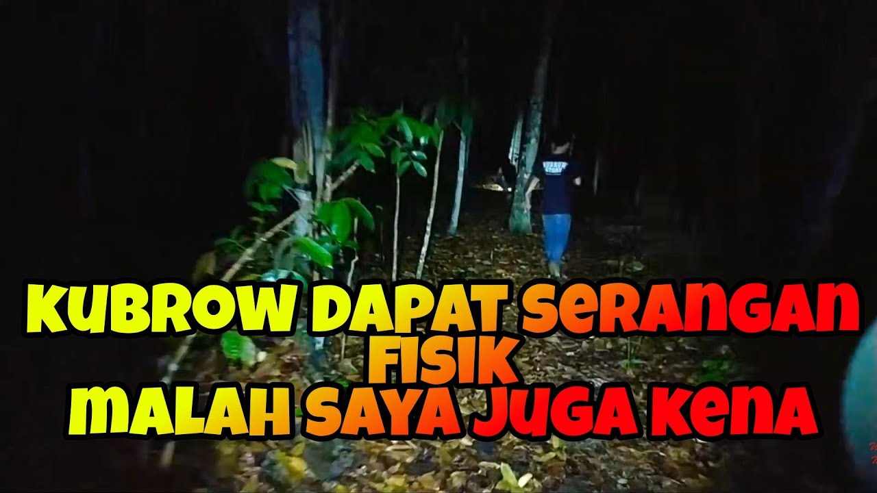 Susul Kubrow Hutan Tua