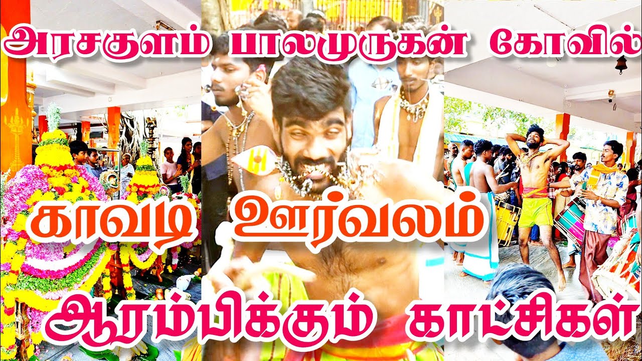 அரசகுளம் ஸ்ரீ பாலமுருகன் திருக்கோவில் காவடி ஊர்வலம் ஆரம்பிக்கும் காட்சிகள்