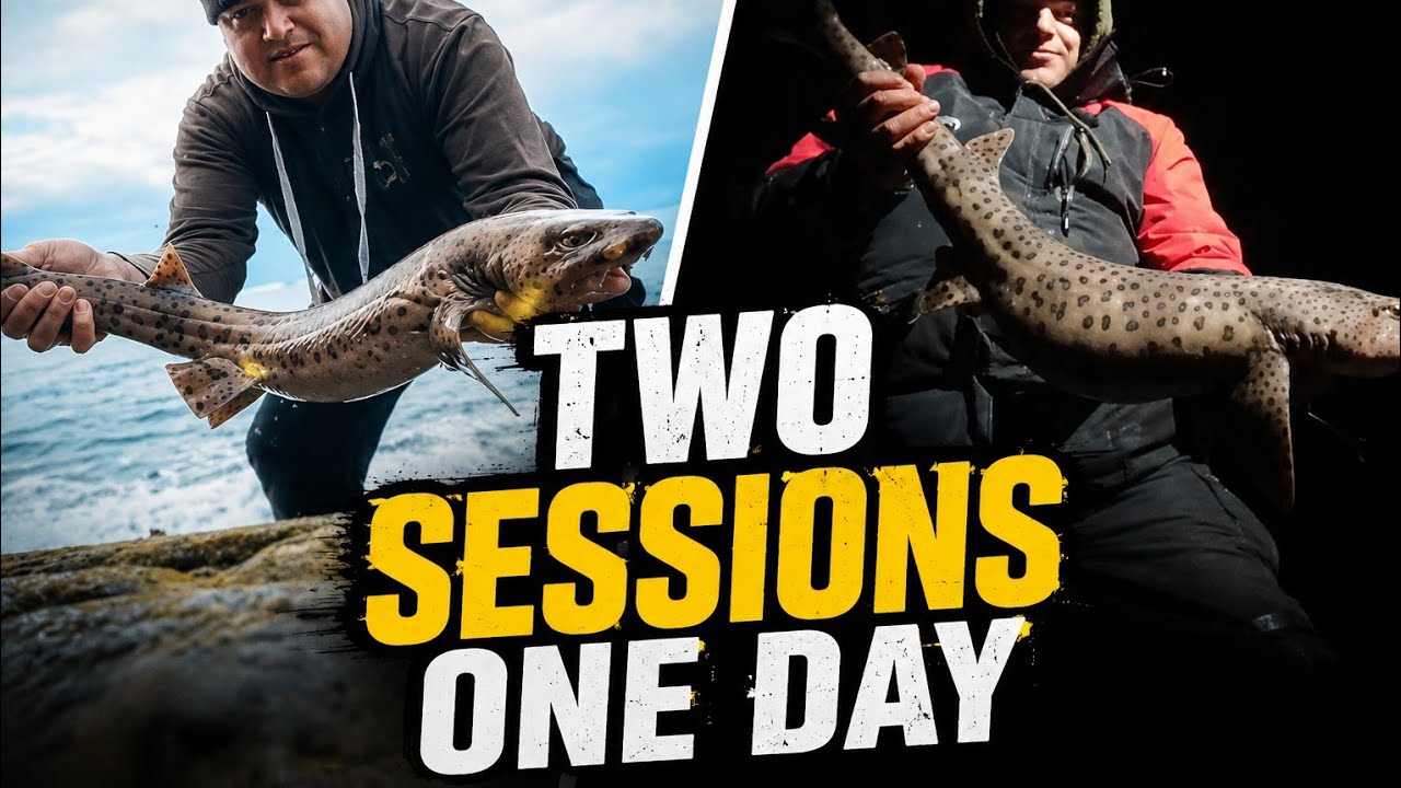 SEA FISHING IN NORTH WALES | FEBRUARY 2026 | PART ONE @Theblankingangler-y5m 