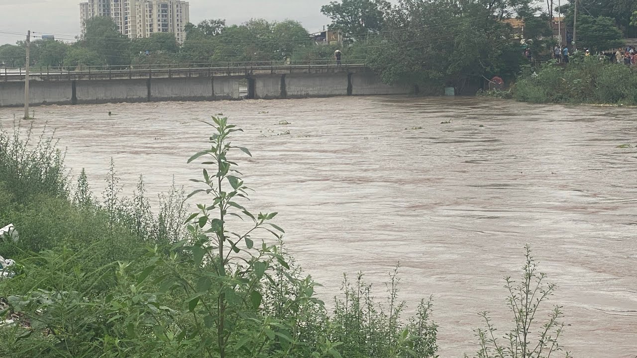 Patiala_rain #patiala #rain #water #punjabflood #punjabi #viral #viralshort #viralvideo #flood